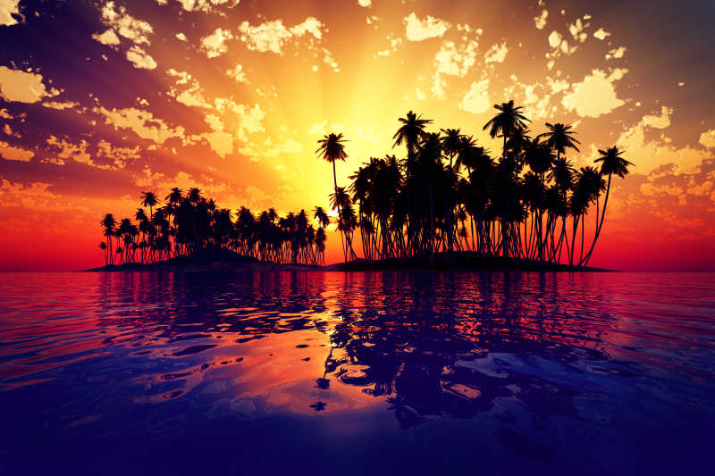 日出的太阳从种满棕桐树的海面上冉冉升起